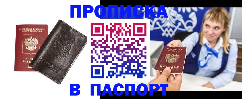 где прописаться в Каменск-Шахтинском